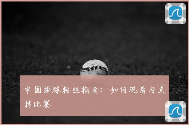中国排球粉丝指南:如何观看与支持比赛