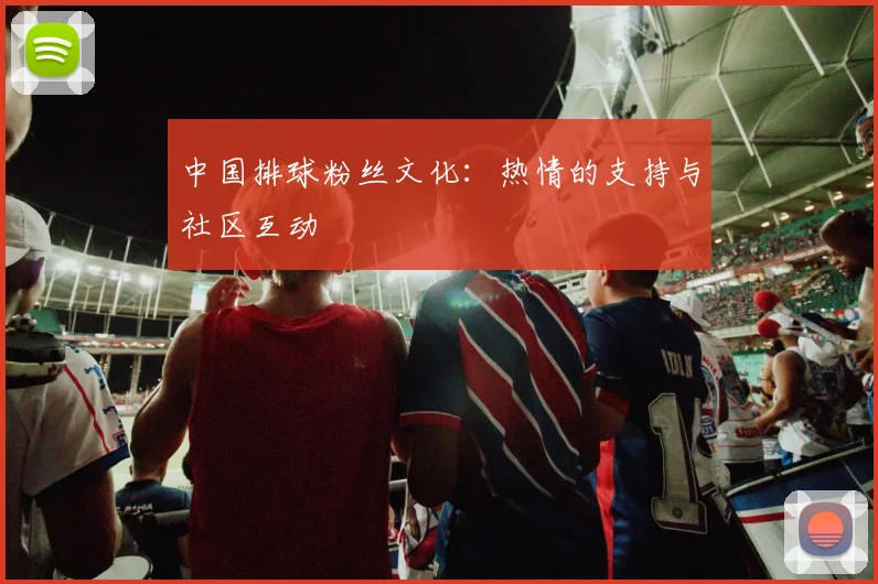 中国排球粉丝文化：热情的支持与社区互动