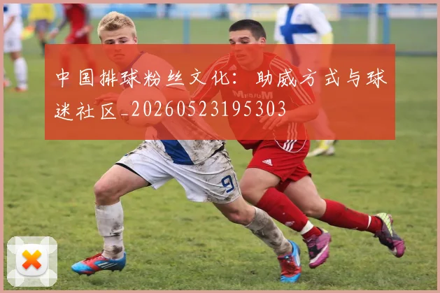 中国排球粉丝文化：助威方式与球迷社区_20260523195303