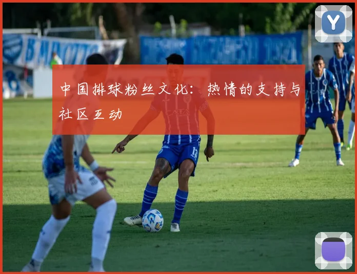 中国排球粉丝文化：热情的支持与社区互动