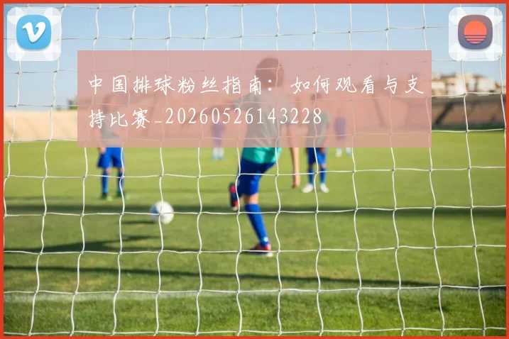 中国排球粉丝指南：如何观看与支持比赛_20260526143228