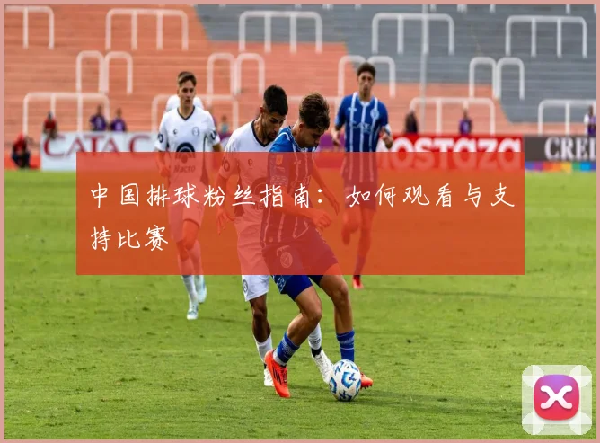 中国排球粉丝指南：如何观看与支持比赛